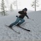 A simple yet addictive 3D Ski game with 12 different levels