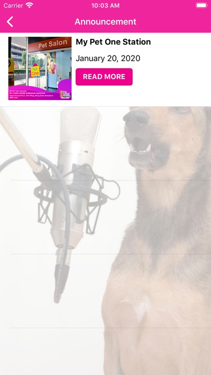 Pet One screenshot-8