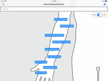 Muscle Ultrasound Course iPad screenshot