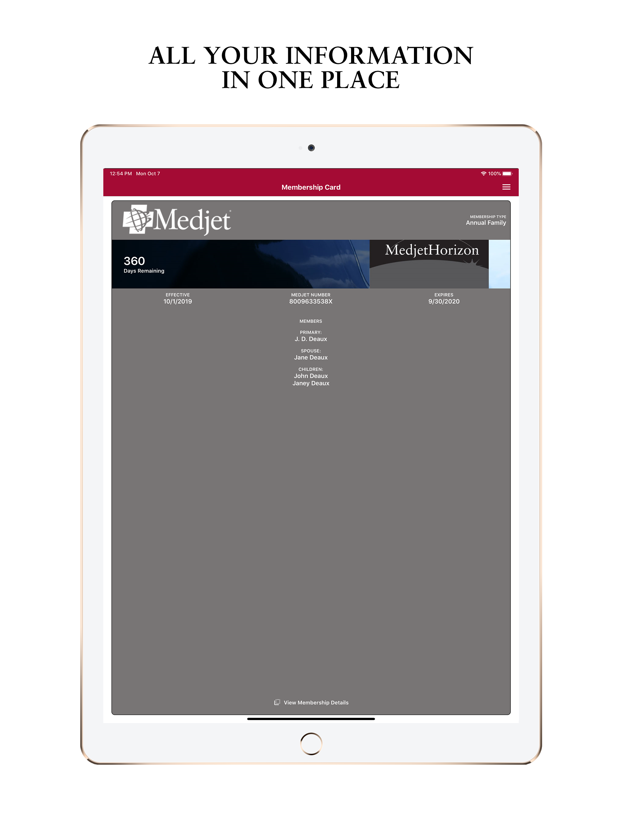 Medjet screenshot 4