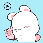Animated Bunny And Tiny Pig App Contact