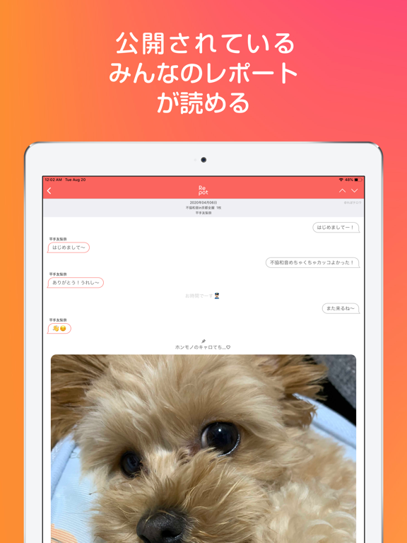 Screenshot #5 pour Repot レポット