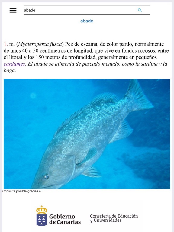 Screenshot #4 pour Diccionario Básico Canarismos