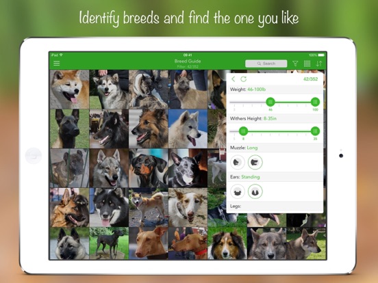 iKnow Dogs 2 PRO iPad screenshot 2 - Reference app