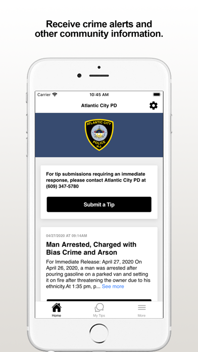 Screenshot #1 pour Atlantic City PD