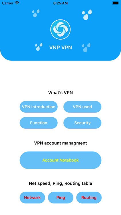 VNP VPN
