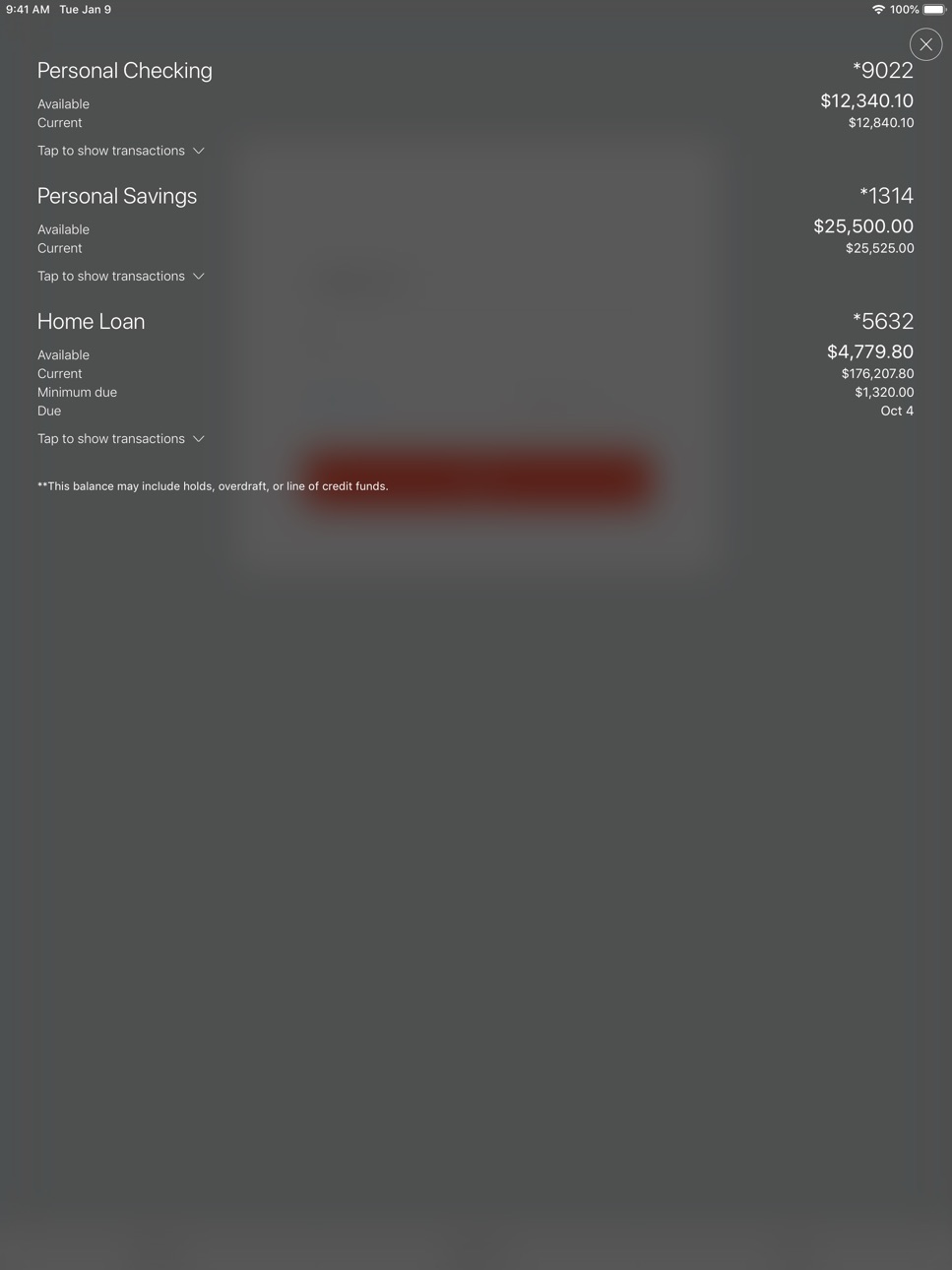iPad screenshot