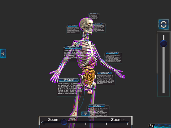 Screenshot #5 pour Human anatomy system & parts