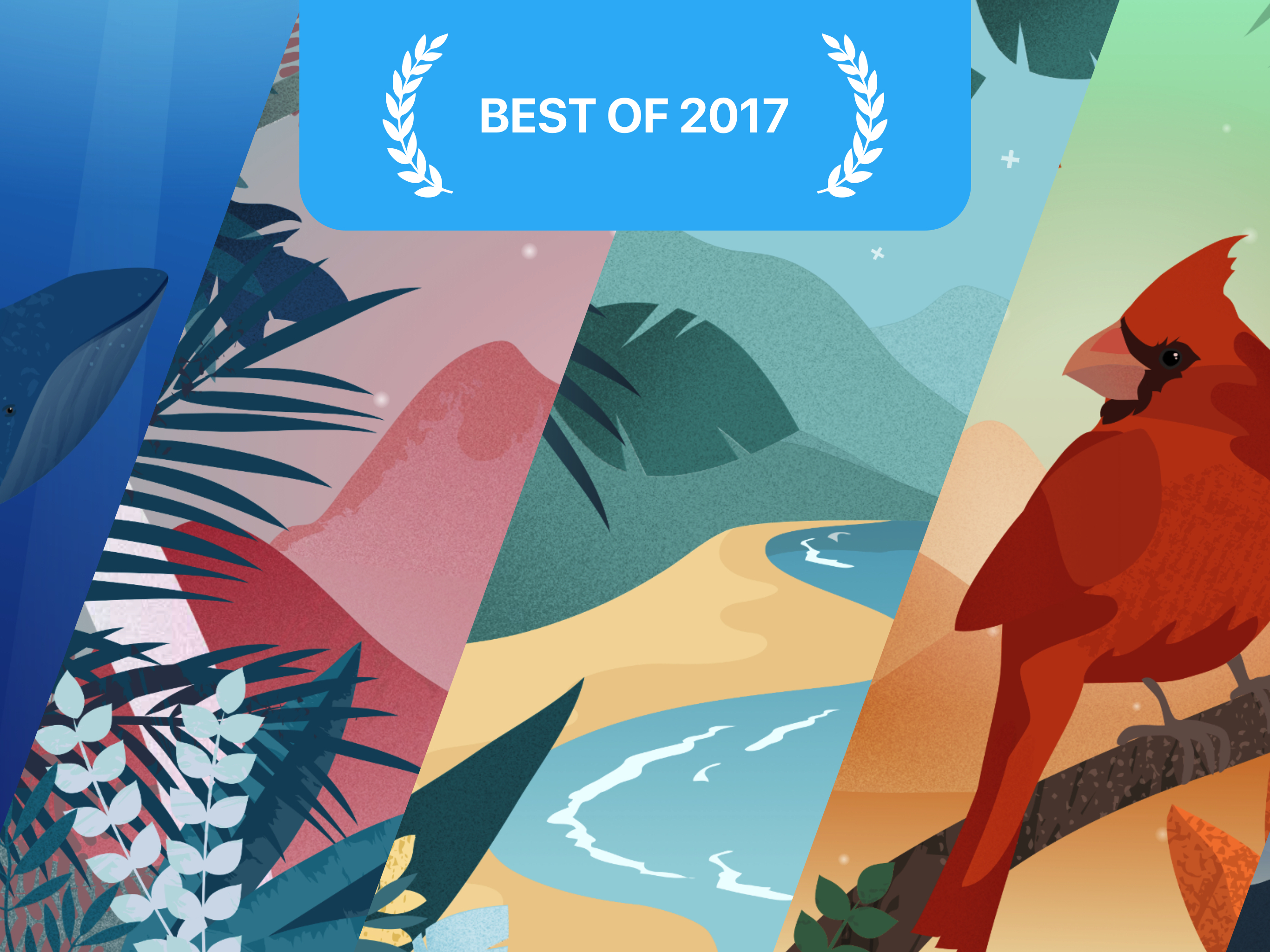 Sonus Island: Relaxing Sounds