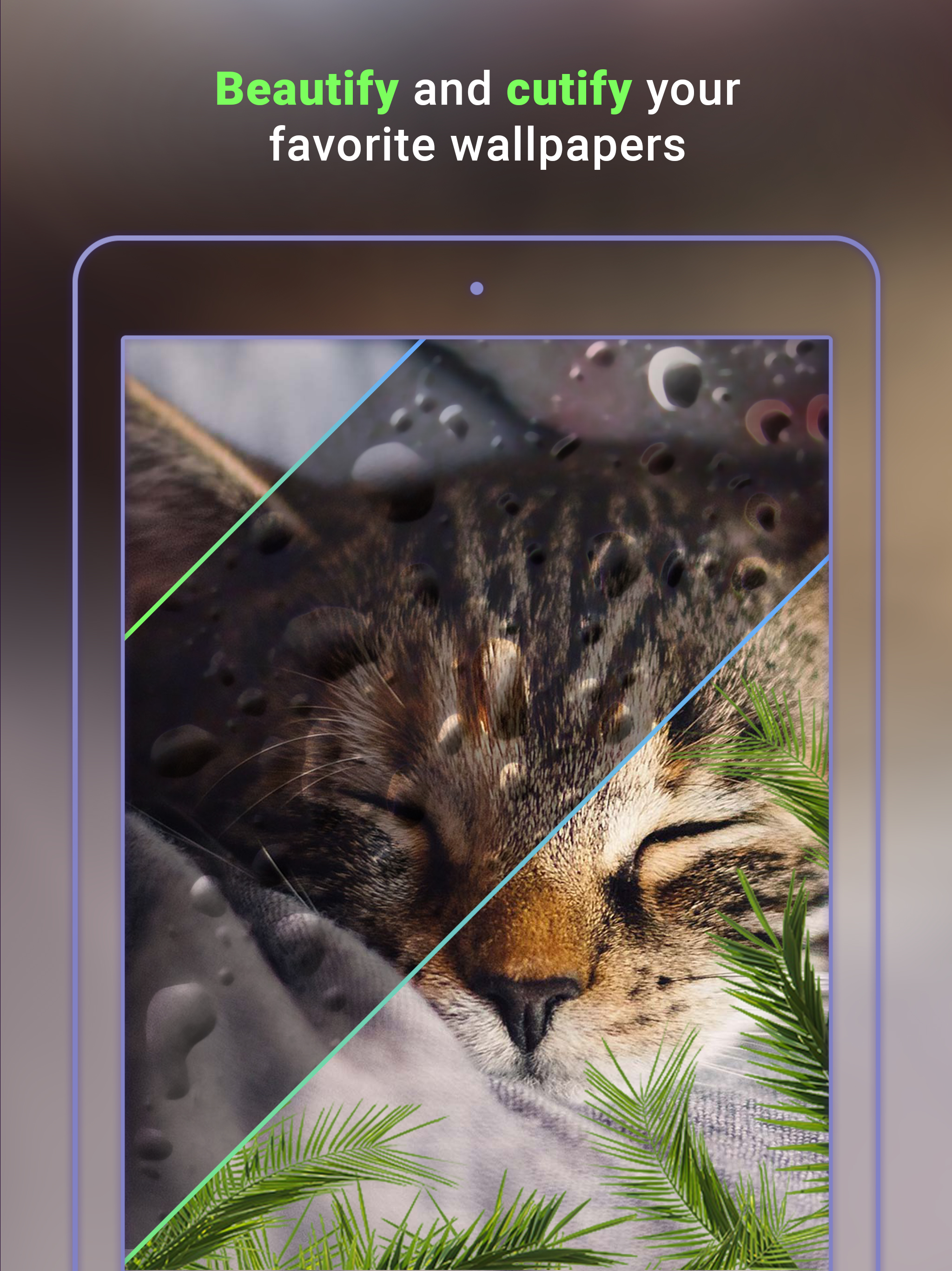 Cute Wallpapers X screenshot 10