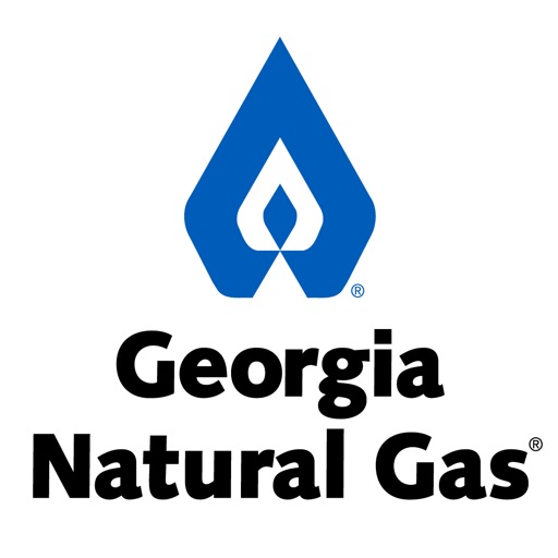 Georgia Natural Gas Payments