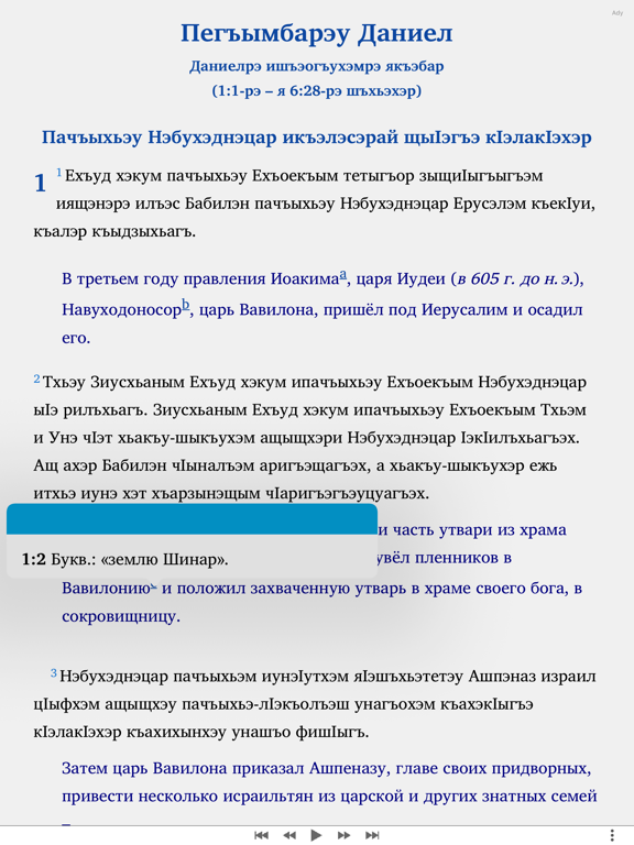 Пегъымбарэу Даниел iPad screenshot