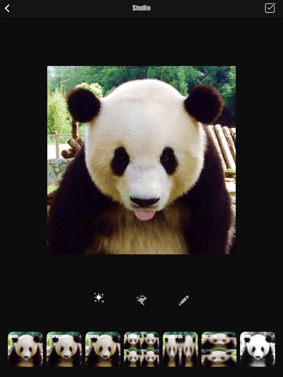 Screenshot #5 pour Gif Forge - Gif Cam & Editor