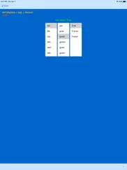 german adjective endings ipad bildschirmfoto 4