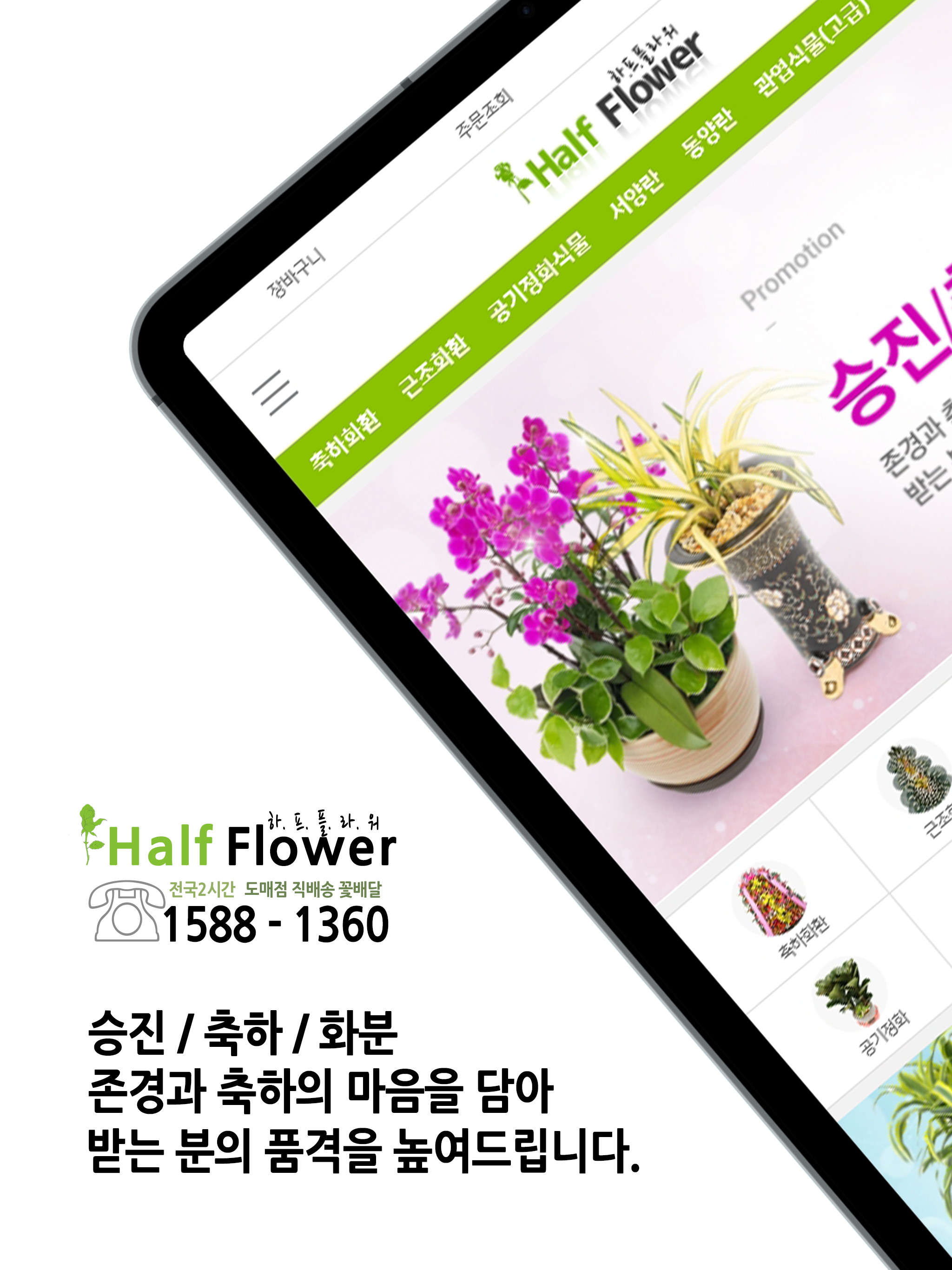 하프플라워