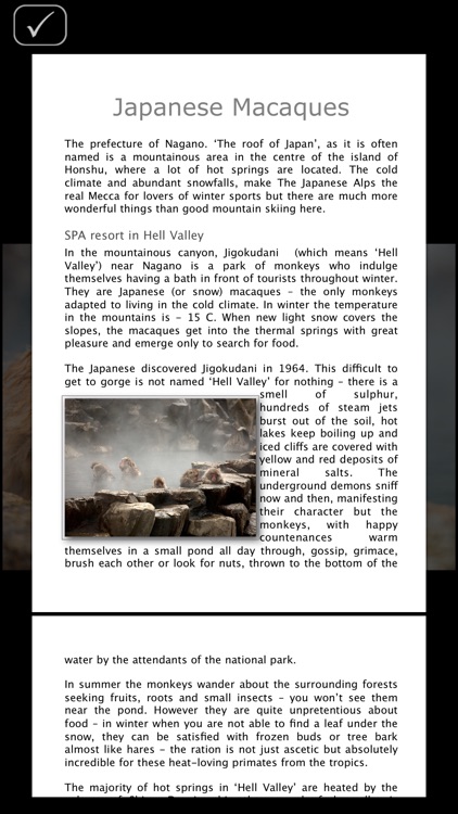 Japanese Macaques screenshot-4