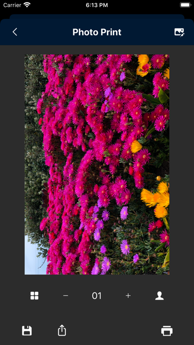 minimi Photo app screenshot 3