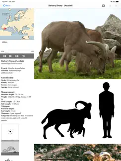 Stuarts European Mammals iPad image 2