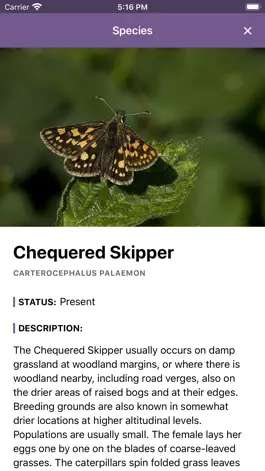 Game screenshot ButterflyCount apk