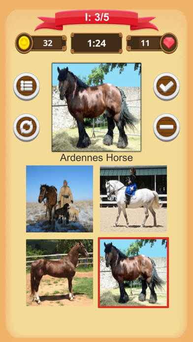 Horse Quiz Screenshot