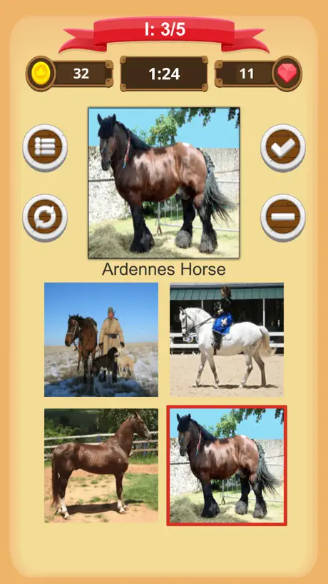 Horse Quiz