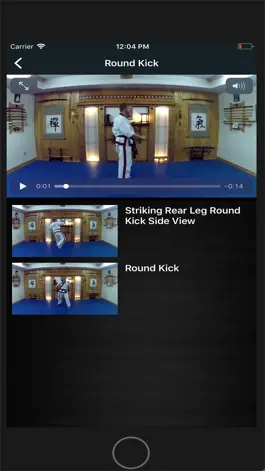 Game screenshot ADAA Karate hack