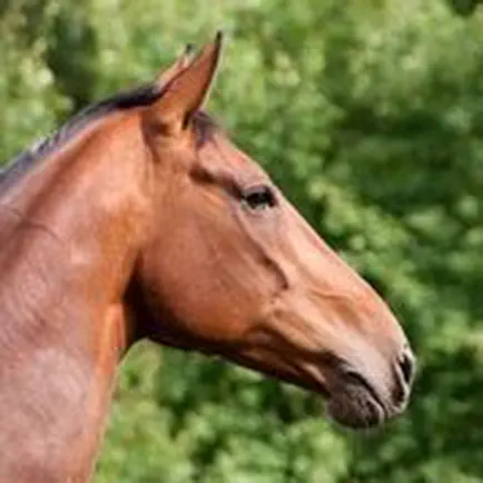 Horse Sounds+ Horse Soundboard Читы