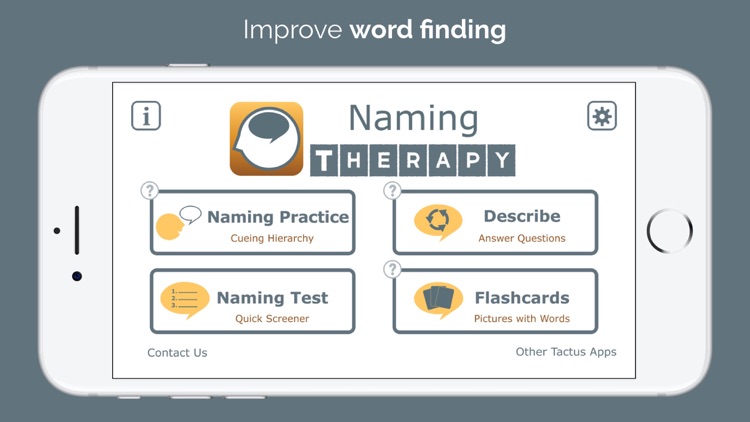 Naming Therapy