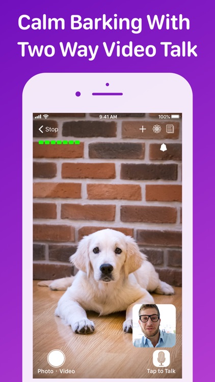 Pet Monitor VIGI