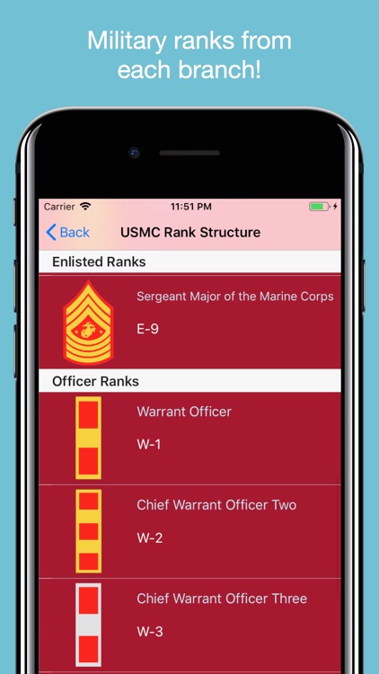 JROTC Guidon screenshot-3