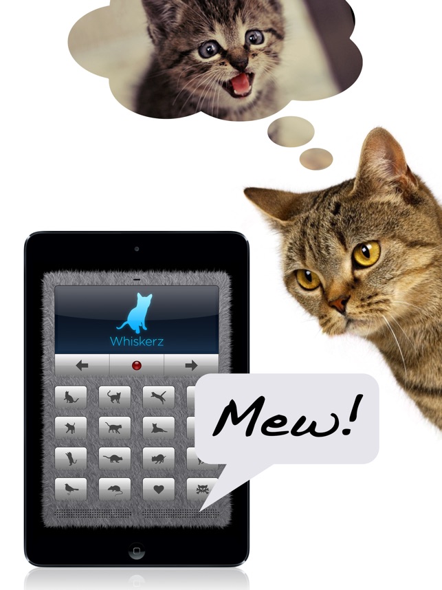 Gato tradutor - Tradutor humano gato - Baixar APK para Android