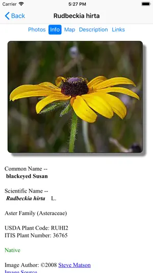 Nebraska Wildflowers screenshot 3