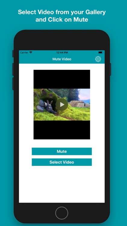Mute Video - Video Mute