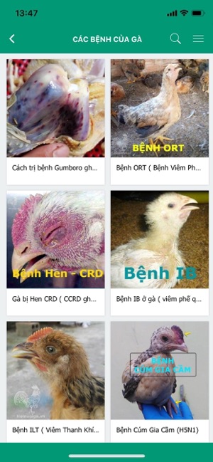 Nuoi Ga(圖3)-速報App