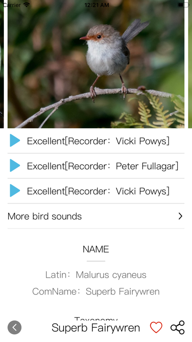 Screenshot #2 pour Bird ID-Picture&Audio
