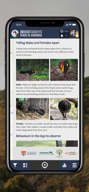 BrushTurkeys | SPOTTERON(圖5)-速報App