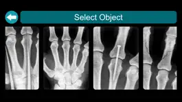 Game screenshot X-Ray Scanner Simulator Prank hack