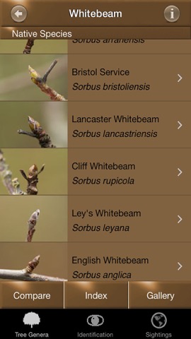 Sunbird Plant Box UK - Tree Id, Flower Id, Orchid Id, Winter Tree Id + Mushroom guideのおすすめ画像10