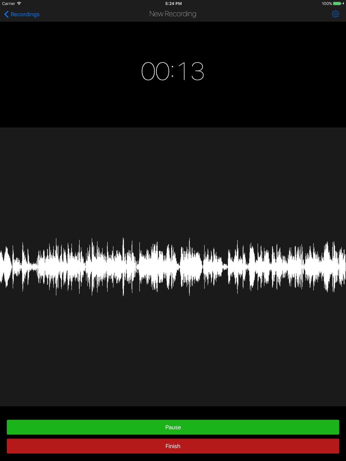 Dictaphone Voice Recorder ipad screenshot 1