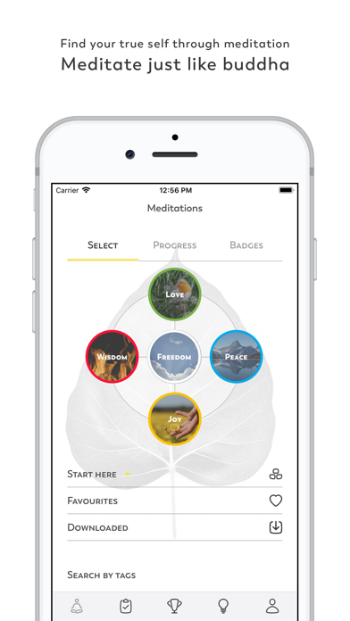 JustLikeBuddha  - meditations Screenshot