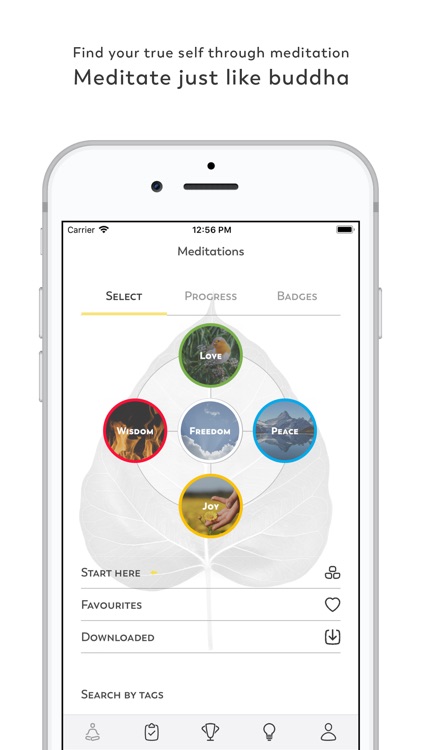 JustLikeBuddha  - meditations