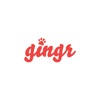 Gingr Notifications