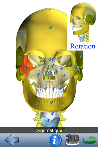 Visual Anatomy screenshot 4