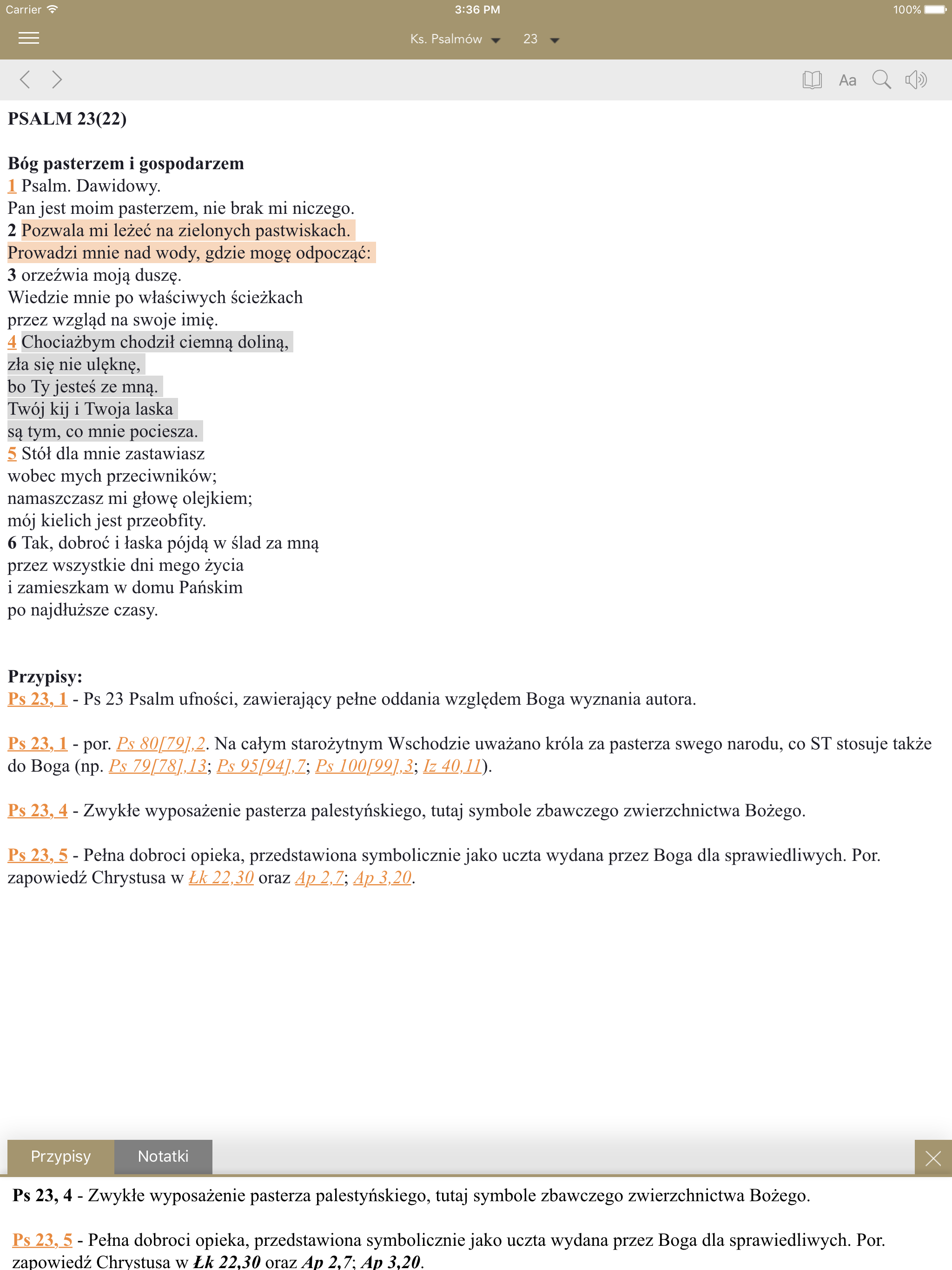 Pismo Święte screenshot 6
