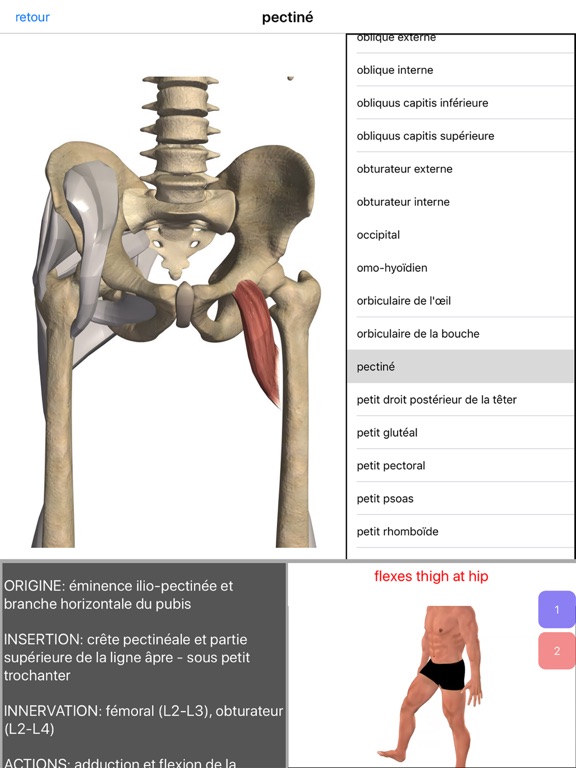 Screenshot #6 pour Anatomie Visuel