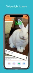 Furry Friend Finder Pet Rescue screenshot #3 for iPhone