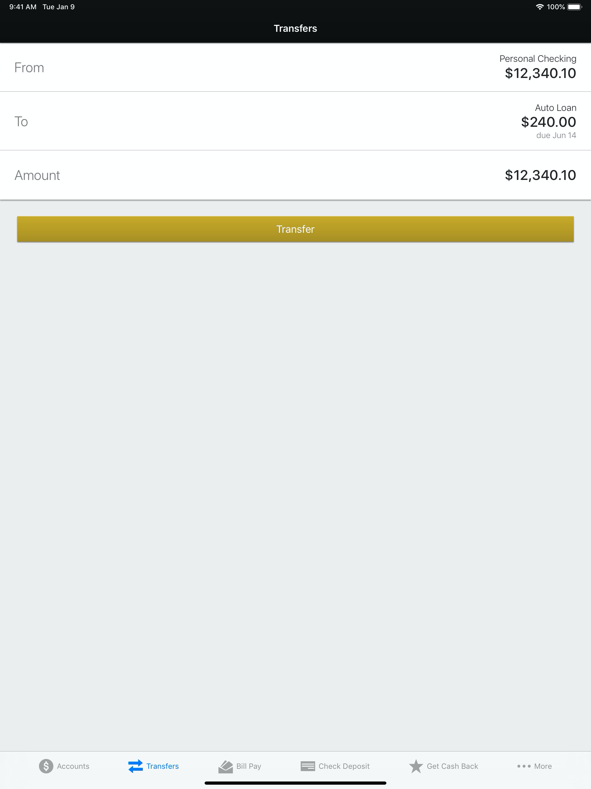 American Bank N.A. screenshot 13