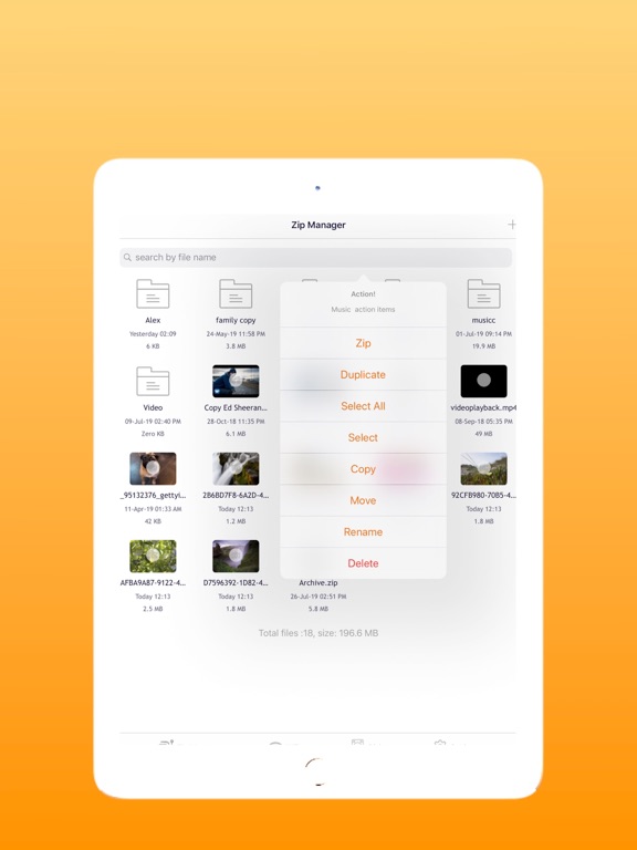 Screenshot #5 pour Zip Password and file Wireless