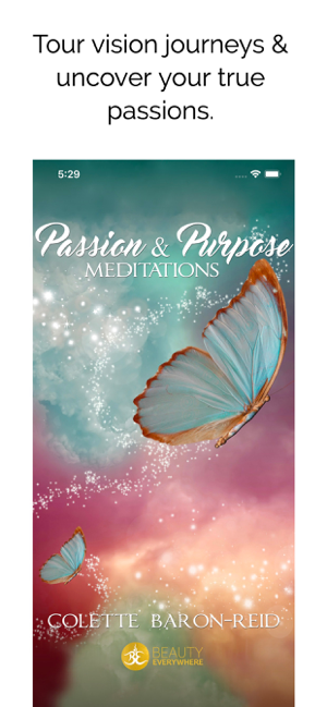 ภาพหน้าจอของ Passion & Purpose Meditations