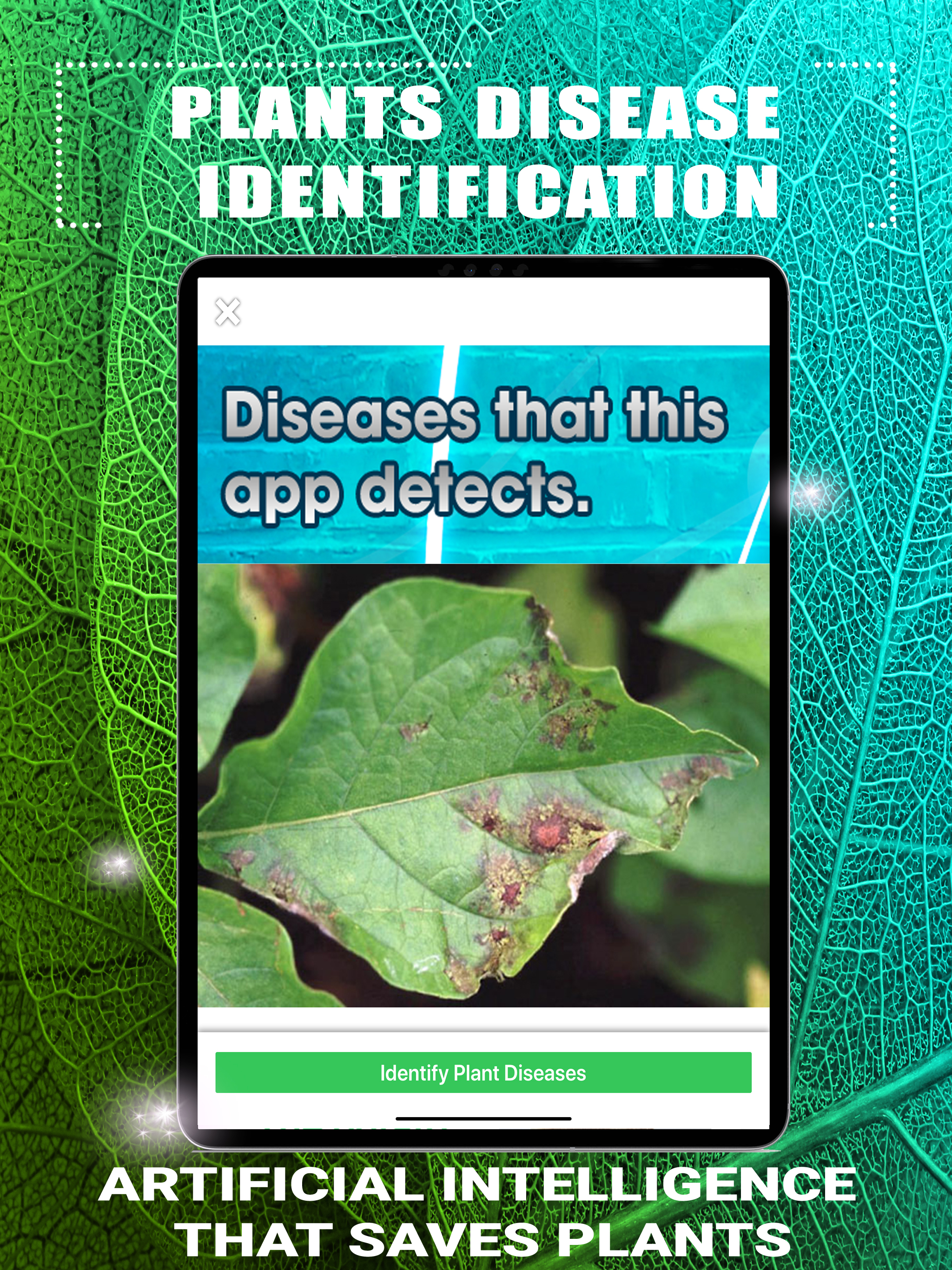 Plants Disease Identification
